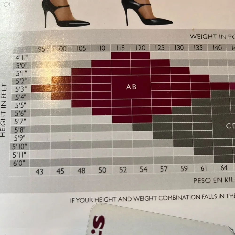 Silk Reflections hosiery sz AB small color Jet Control Top Reinforced Toe Nylons